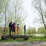 Nicolas BRUNEL - BRUNEL